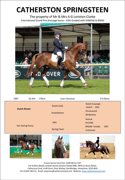 Catherston Springsteen Stud card 2021-1_1