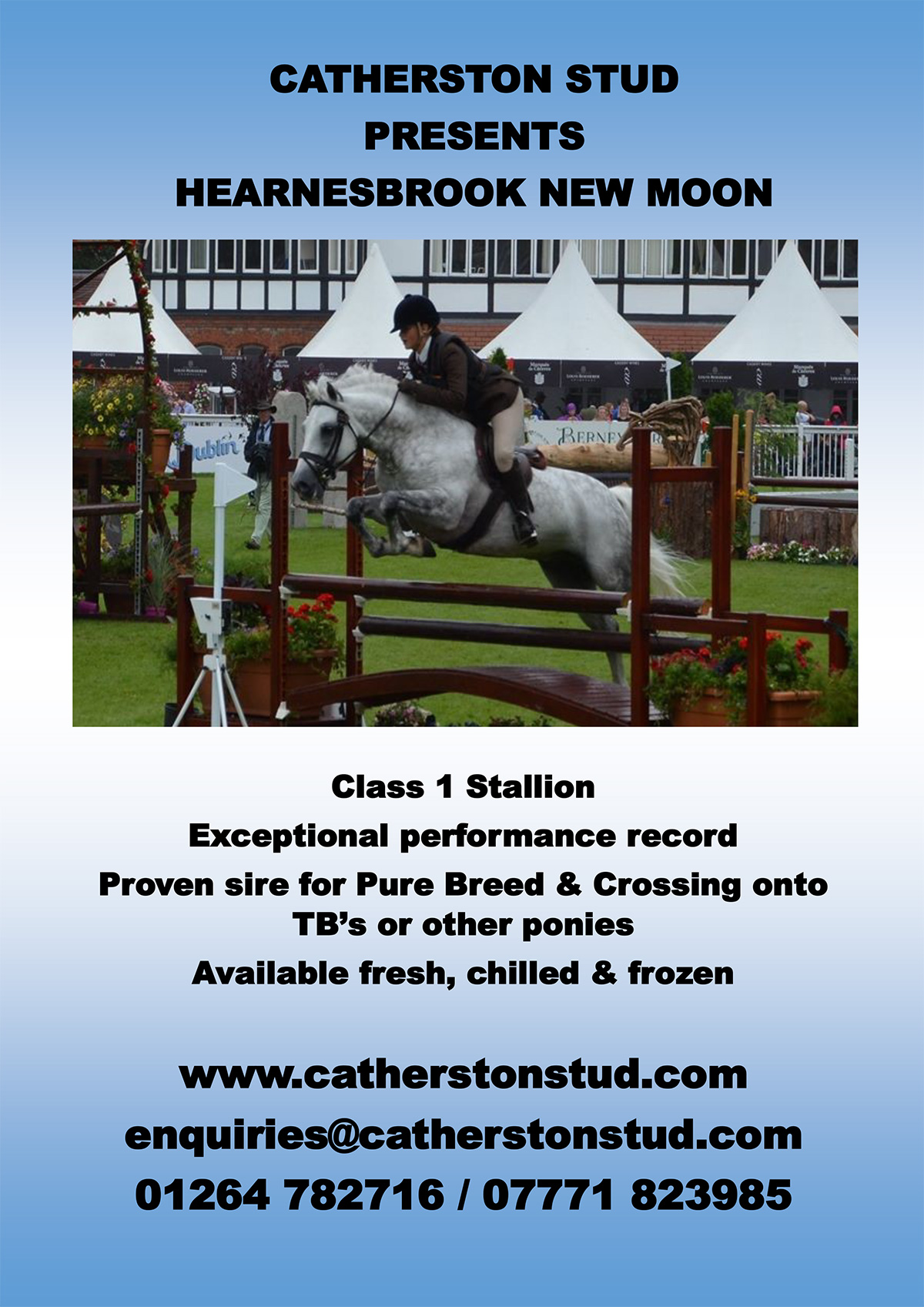 Catherston Tuxedo Stud Card 2024